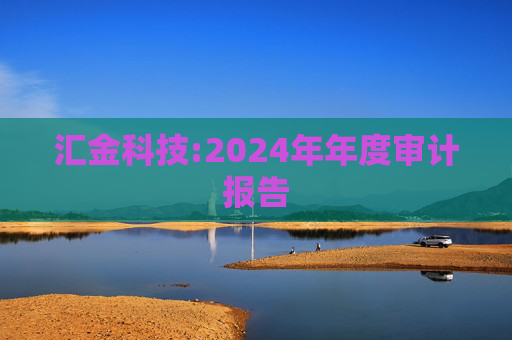 汇金科技:2024年年度审计报告