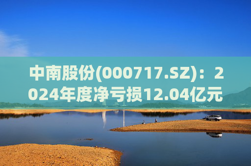 中南股份(000717.SZ)：2024年度净亏损12.04亿元
