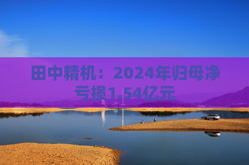 田中精机:2024年归母净亏损1.54亿元