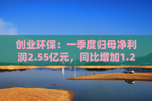 创业环保：一季度归母净利润2.55亿元，同比增加1.26%  第1张