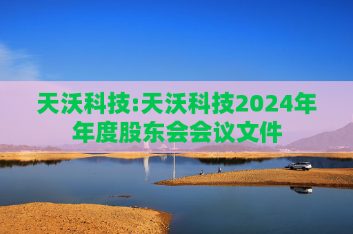 天沃科技:天沃科技2024年年度股东会会议文件