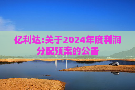 亿利达:关于2024年度利润分配预案的公告