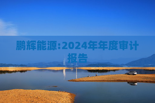 鹏辉能源:2024年年度审计报告