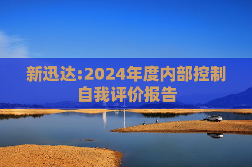 新迅达:2024年度内部控制自我评价报告