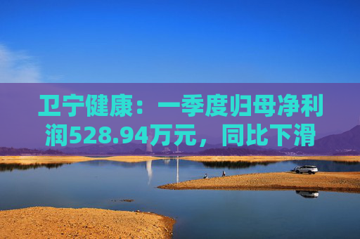 卫宁健康：一季度归母净利润528.94万元，同比下滑68.18%
