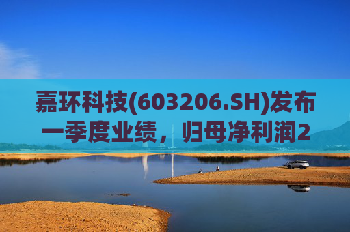 嘉环科技(603206.SH)发布一季度业绩,归母净利润2021.72万元,同比下降21.02%