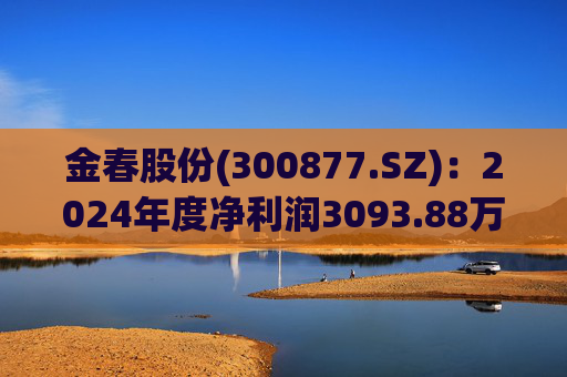 金春股份(300877.SZ):2024年度净利润3093.88万元 拟10派1元