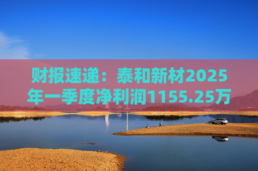 财报速递:泰和新材2025年一季度净利润1155.25万元 第1张 财报速递:泰和新材2025年一季度净利润1155.25万元 第1张