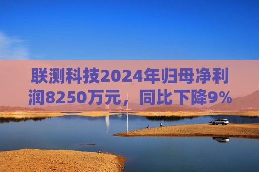 联测科技2024年归母净利润8250万元，同比下降9%
