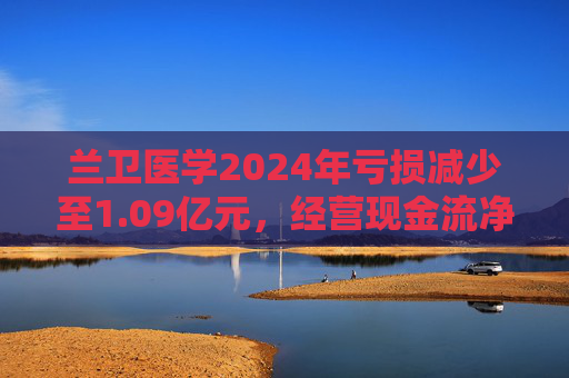 兰卫医学2024年亏损减少至1.09亿元，经营现金流净额降60.5%  第1张