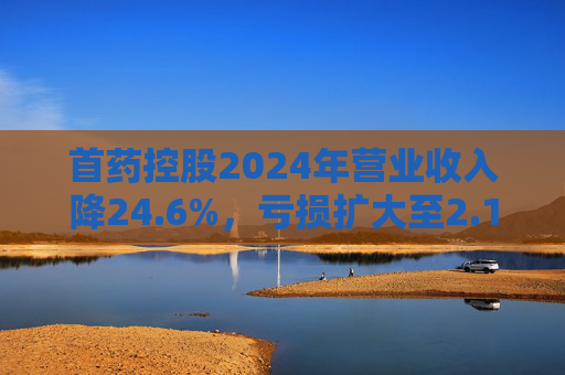 首药控股2024年营业收入降24.6%，亏损扩大至2.12亿元  第1张
