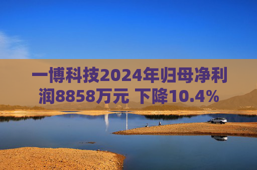 一博科技2024年归母净利润8858万元 下降10.4% 第1张 一博科技2024年归母净利润8858万元 下降10.4% 第1张