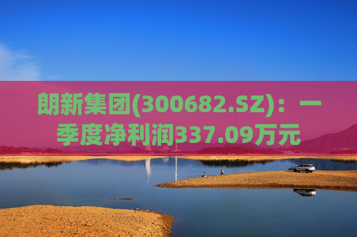 朗新集团(300682.SZ):一季度净利润337.09万元