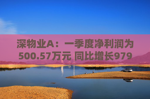 深物业A：一季度净利润为500.57万元 同比增长979.79%