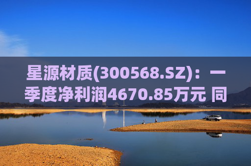 星源材质(300568.SZ):一季度净利润4670.85万元 同比减少56.39%