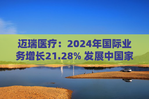 迈瑞医疗:2024年国际业务增长21.28% 发展中国家成重要增长引擎