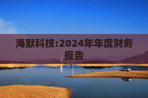 海默科技:2024年年度财务报告