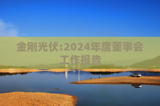金刚光伏:2024年度董事会工作报告