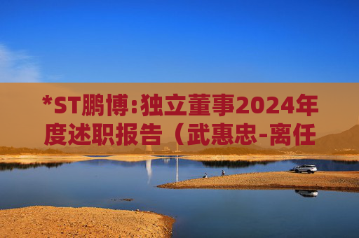 *ST鹏博:独立董事2024年度述职报告（武惠忠-离任）  第1张
