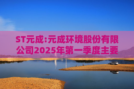 ST元成:元成环境股份有限公司2025年第一季度主要经营数据的公告