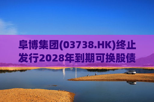 阜博集团(03738.HK)终止发行2028年到期可换股债券