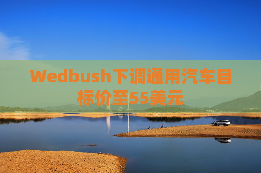 Wedbush下调通用汽车目标价至55美元