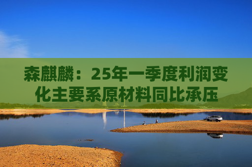 森麒麟：25年一季度利润变化主要系原材料同比承压  第1张
