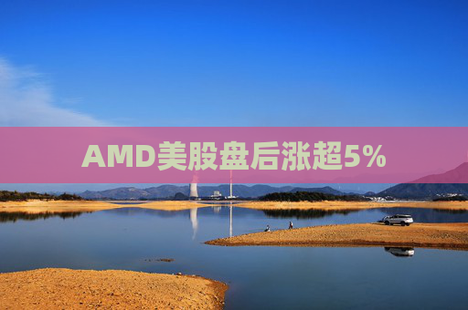 AMD美股盘后涨超5%