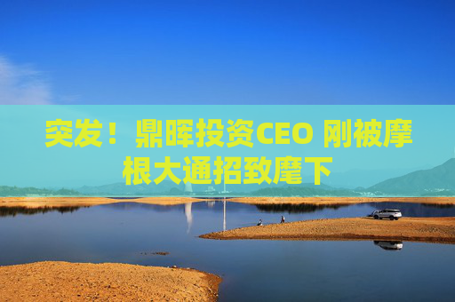 突发!鼎晖投资CEO 刚被摩根大通招致麾下