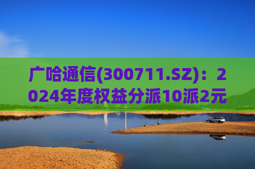 广哈通信(300711.SZ):2024年度权益分派10派2元 股权登记日5月12日