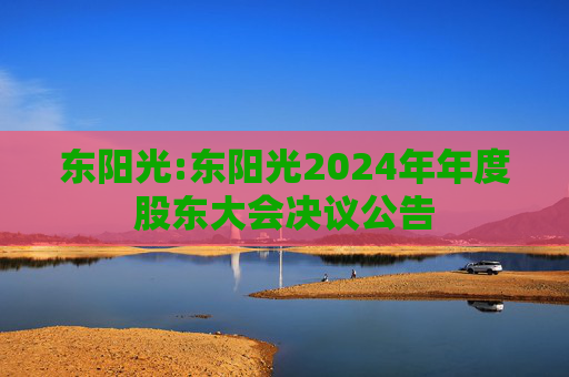 东阳光:东阳光2024年年度股东大会决议公告