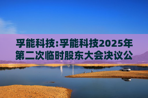 孚能科技:孚能科技2025年第二次临时股东大会决议公告  第1张