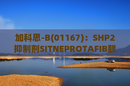 加科思-B(01167):SHP2抑制剂SITNEPROTAFIB联用研究数据发表于学术期刊