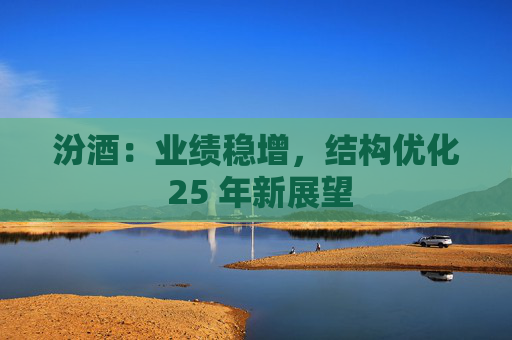 汾酒:业绩稳增,结构优化 25 年新展望