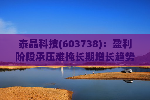 泰晶科技(603738)：盈利阶段承压难掩长期增长趋势 加码车规高附加值产品序列