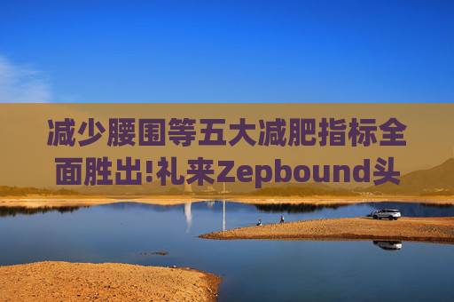 减少腰围等五大减肥指标全面胜出!礼来Zepbound头对头试验碾压诺和诺德(NVO.US)Wegovy
