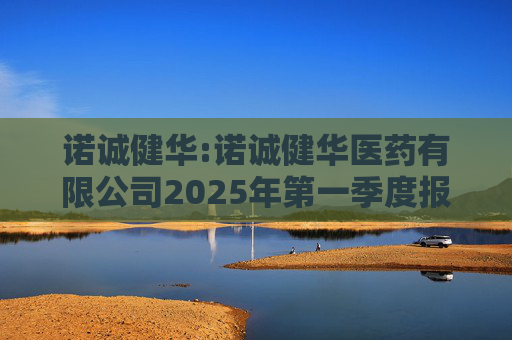 诺诚健华:诺诚健华医药有限公司2025年第一季度报告  第1张