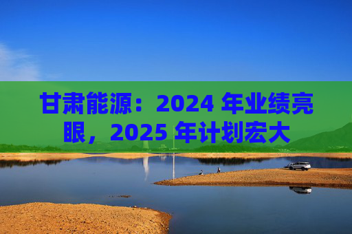 甘肃能源：2024 年业绩亮眼，2025 年计划宏大