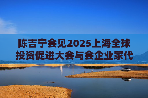 陈吉宁会见2025上海全球投资促进大会与会企业家代表