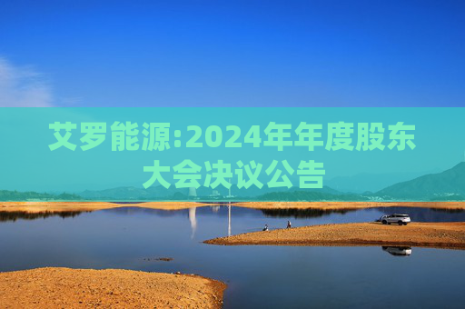 艾罗能源:2024年年度股东大会决议公告