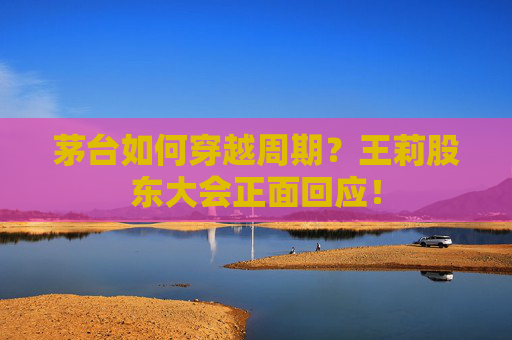 茅台如何穿越周期?王莉股东大会正面回应!