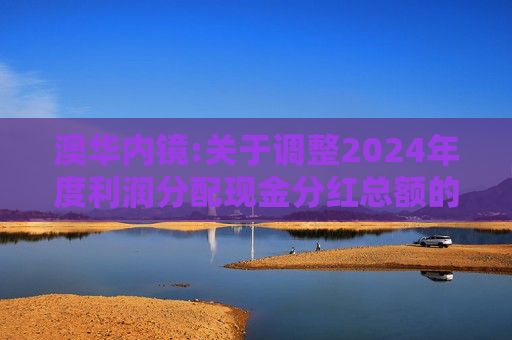 澳华内镜:关于调整2024年度利润分配现金分红总额的公告