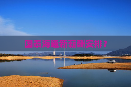国泰海通新薪酬安排？