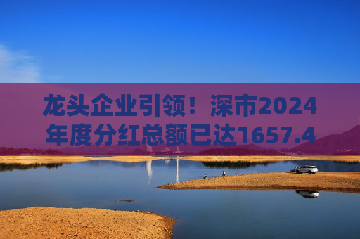 龙头企业引领！深市2024年度分红总额已达1657.47亿元