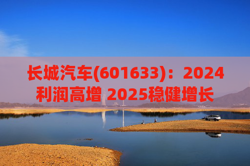 长城汽车(601633)：2024利润高增 2025稳健增长  第1张