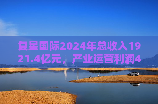 复星国际2024年总收入1921.4亿元,产业运营利润49亿元 第1张 复星国际2024年总收入1921.4亿元,产业运营利润49亿元 第1张