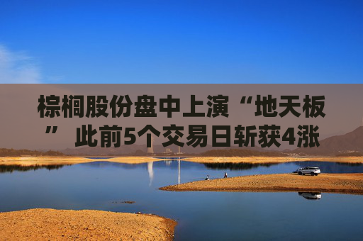 棕榈股份盘中上演“地天板” 此前5个交易日斩获4涨停