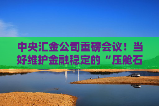 中央汇金公司重磅会议！当好维护金融稳定的“压舱石”  第1张