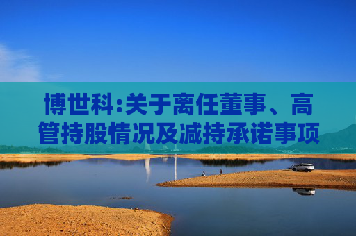 博世科:关于离任董事、高管持股情况及减持承诺事项的说明  第1张