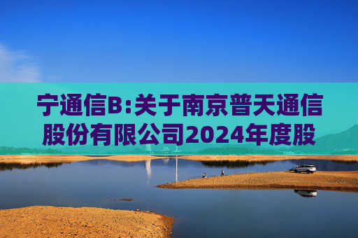 宁通信B:关于南京普天通信股份有限公司2024年度股东大会的法律意见书